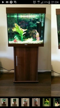 Juwel lido 120 - complete aquarium set up plus fish