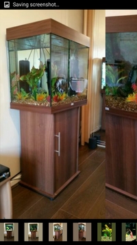 Juwel lido 120 - complete aquarium set up plus fish