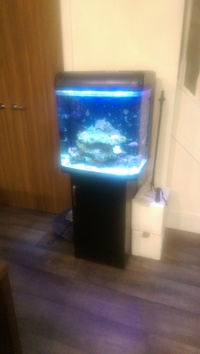 Marine tank / setup for sale - livestock, live rock, test kits, pump, skimmer etc. £400 ONO
