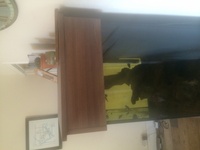 Clearseal aquarium in dark wood - 275 litres - £275