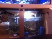 Marine fish tank full set up £700 Ono