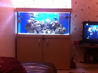 Marine fish tank full set up £700 Ono