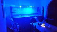 7x2x2 for sale need gone asap don have time to finish it off :(