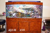 MAY SALE - WEISNICK AQUARIUMS SALE Great chance to get a bargain. Over 60 pre-owned, tanks plus loads of accessories. From £3 upwards. Viewings welcome Manchester M45