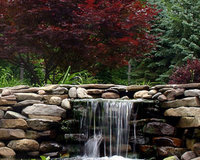 Pond Cleaning & Services Hampshire