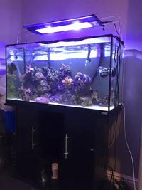 TMC Ilumenair 900 1 Month old with box