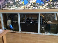 £ 2750. - SEABRAY Full Mature Reef Set-up. 1200 litres