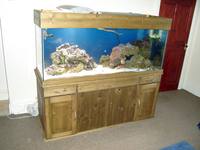 Full 5ft Marine Reef Setup For Sale
