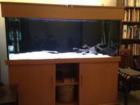 5x2x2 ND aquatics tank + equipment