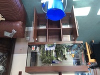 Jewel Rio 180 with stand and complete set up.
