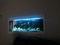 5ft Malawi tank full set up £275