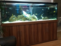 ND aquatics 6x2x2