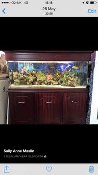 4ft tank and cabinet