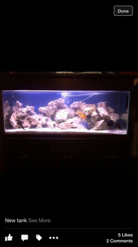 4ft tank and cabinet