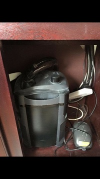 4ft tank and cabinet