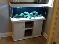 Juwel rio 240 setup