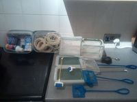 fish tanks and equipment for sale