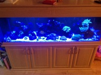 5ft tank, stand, hood and sump for sale