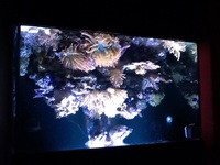 Complete marine set up