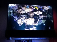 Complete marine set up