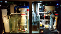 Marine Reef Aquarium 500l