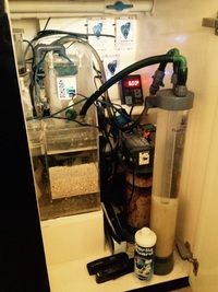 7ft tank (help needed)