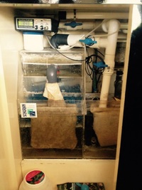 7ft tank (help needed)