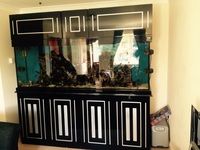 7ft tank (help needed)