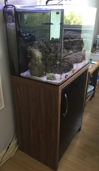 Marine Aquairum - FULL SETUP