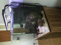Marine Aquairum - FULL SETUP