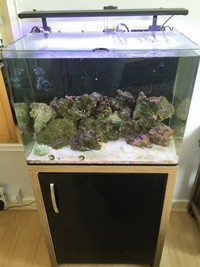 Marine Aquairum - FULL SETUP