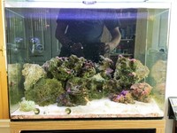 Marine Aquairum - FULL SETUP