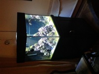 AQUA ONE Aquareef 275 Cube 350I Marine Aquarium Led Lighting and extras