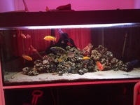 5x2x2 full set up
