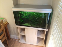 Rena 200lt complete setup, eheim 2073, heavily planted