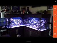 5ft X 6ft X 2 ft L shaped corner aquarium and cabinet