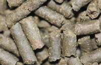 Mini Sticks