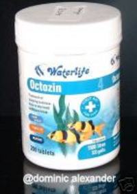 special offer and limited stock 200 octozin tablets for just £14.50 free postage