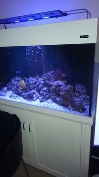 AQUAREEF 400 Marine Aquarium Gloss White £550