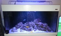 AQUAREEF 400 Marine Aquarium Gloss White £550