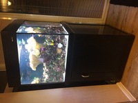 Aqua One Cube 175 Full Marine Set - Up