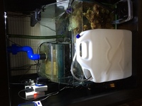 Aqua One Cube 175 Full Marine Set - Up