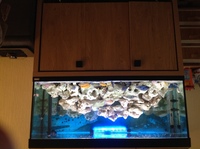 Fish tank and cabinet set up
