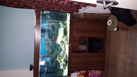complete marine aquarium