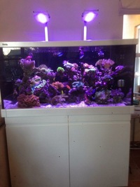 Red Sea max S500 in White