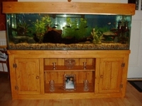 Hand Made Pine aquarium cabinets ( made to order)