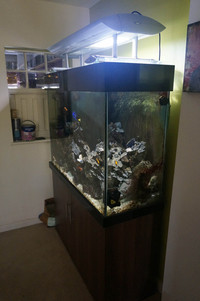 Large Custom Built Seabray Dolphin Aquarium 122cm x 75cm Glass at Front