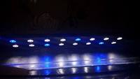 Seahorse set up 190L £550