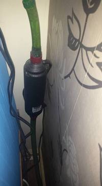 Seahorse set up 190L £550