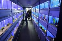 The Aquatic Store Bristol - Specialist Freshwater Retailer - Full stock list - 22.04.17